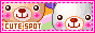 cute spot